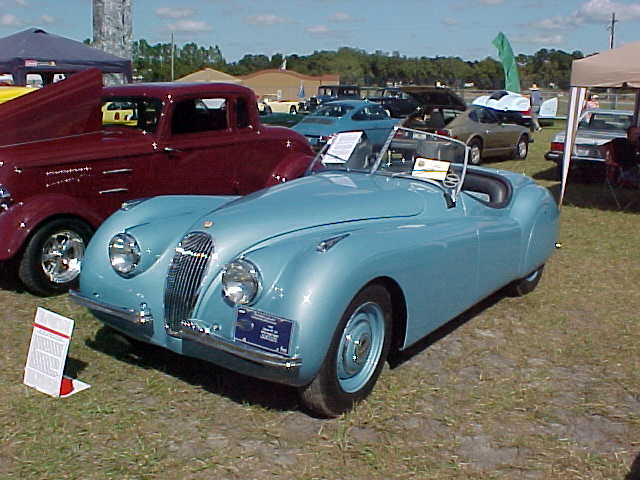 1-Jaguar.JPG